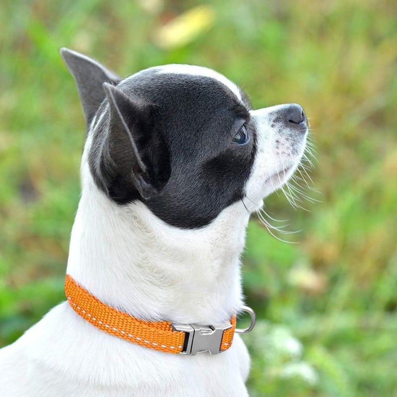 CollarDirect Reflective Dog Collar for a Small, Medium, Large Dog or Puppy with a Quick Release Buckle - Boy and Girl - Nylon Suitable for Swimming (7-11 Inch, Black) - Image 5